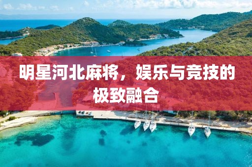 明星河北麻将，娱乐与竞技的极致融合