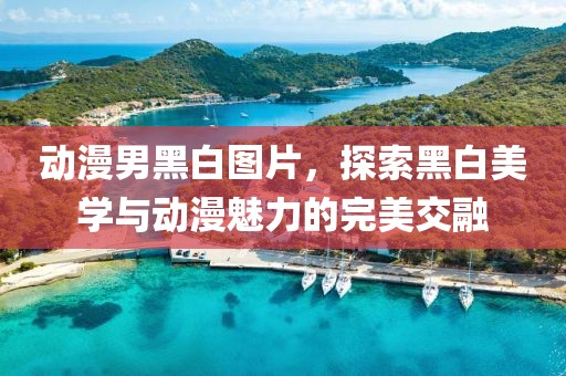 动漫男黑白图片，探索黑白美学与动漫魅力的完美交融
