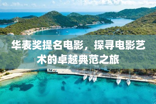华表奖提名电影，探寻电影艺术的卓越典范之旅
