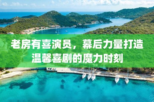 老房有喜演员，幕后力量打造温馨喜剧的魔力时刻
