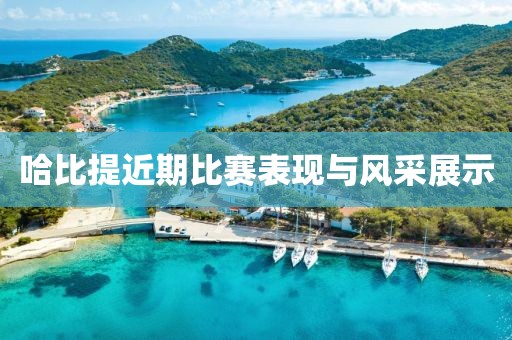 哈比提近期比赛表现与风采展示