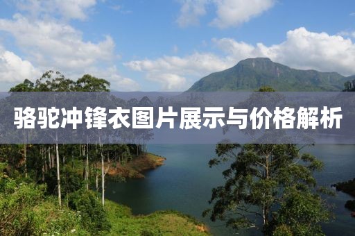 骆驼冲锋衣图片展示与价格解析
