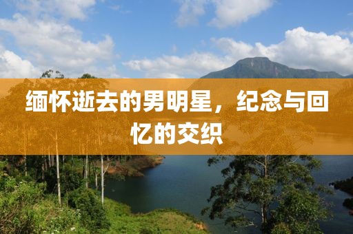 缅怀逝去的男明星，纪念与回忆的交织