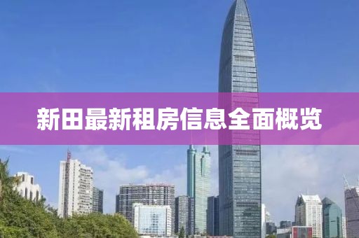 新田最新租房信息全面概览