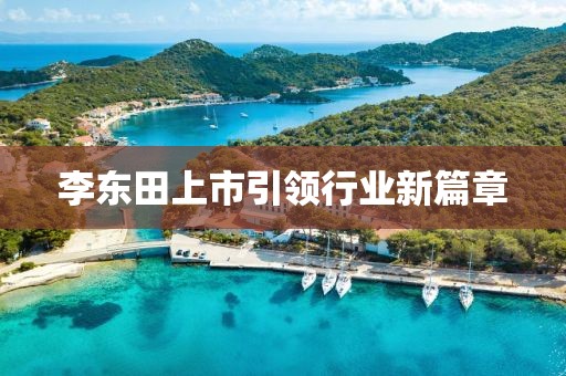 李东田上市引领行业新篇章