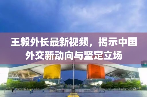王毅外长最新视频，揭示中国外交新动向与坚定立场