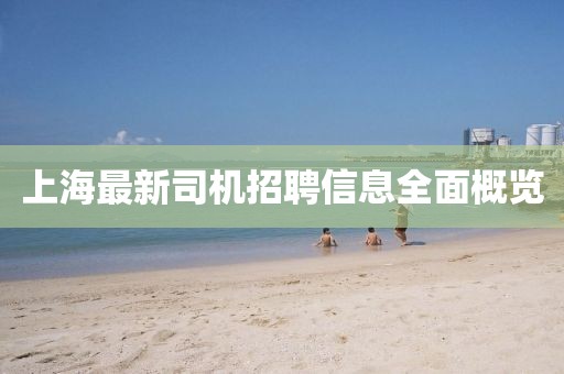 上海最新司机招聘信息全面概览