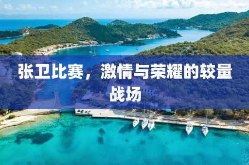 张卫比赛，激情与荣耀的较量战场