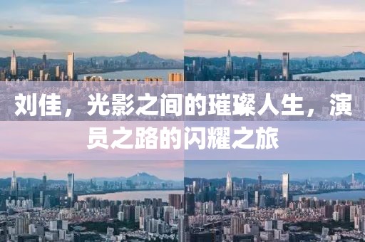 刘佳，光影之间的璀璨人生，演员之路的闪耀之旅