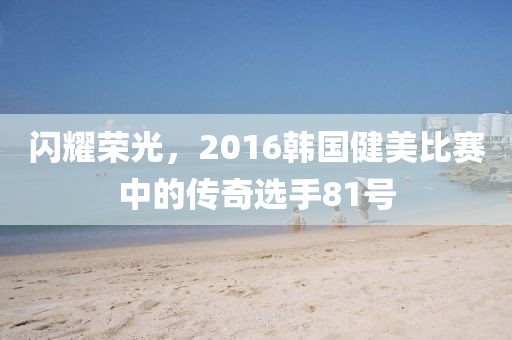 闪耀荣光，2016韩国健美比赛中的传奇选手81号