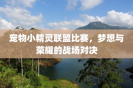 宠物小精灵联盟比赛，梦想与荣耀的战场对决