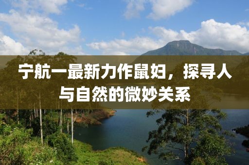 宁航一最新力作鼠妇，探寻人与自然的微妙关系