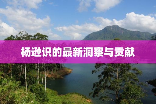 杨逊识的最新洞察与贡献