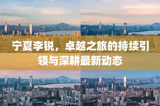 宁夏李锐，卓越之旅的持续引领与深耕最新动态