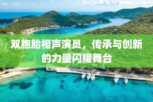 双胞胎相声演员，传承与创新的力量闪耀舞台