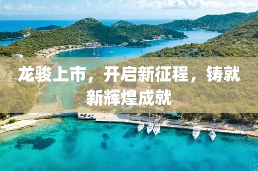 龙骏上市，开启新征程，铸就新辉煌成就