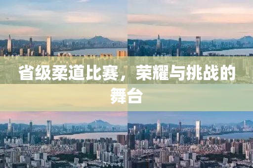 省级柔道比赛，荣耀与挑战的舞台
