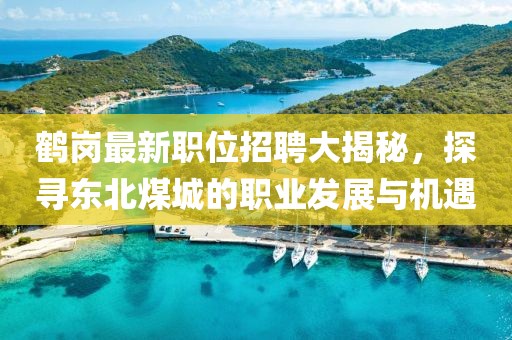 鹤岗最新职位招聘大揭秘，探寻东北煤城的职业发展与机遇