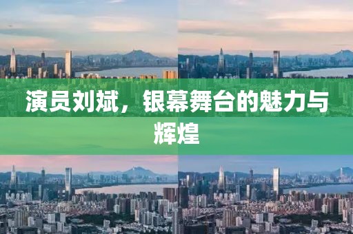 演员刘斌，银幕舞台的魅力与辉煌