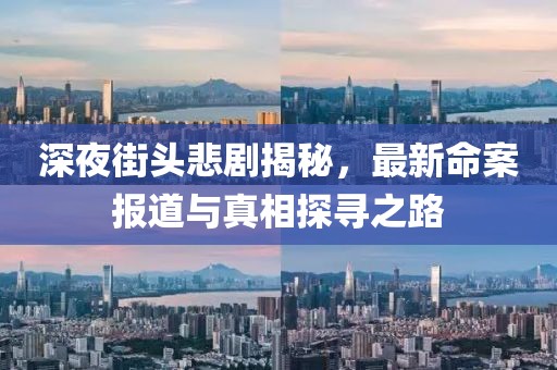 深夜街头悲剧揭秘，最新命案报道与真相探寻之路