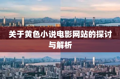 关于黄色小说电影网站的探讨与解析