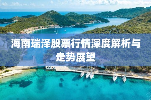 海南瑞泽股票行情深度解析与走势展望