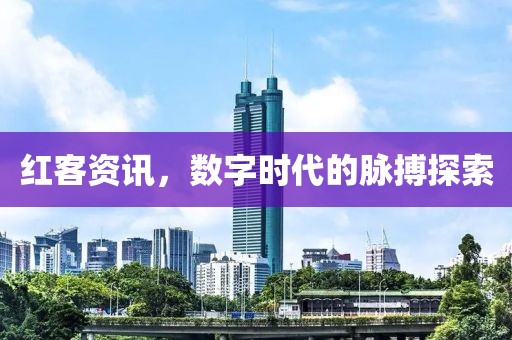 红客资讯，数字时代的脉搏探索