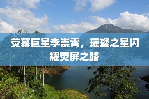 荧幕巨星李崇霄,璀璨之星闪耀荧屏之路