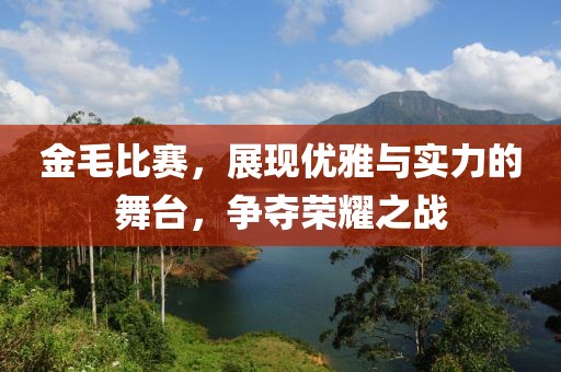 金毛比赛,展现优雅与实力的舞台,争夺荣耀之战