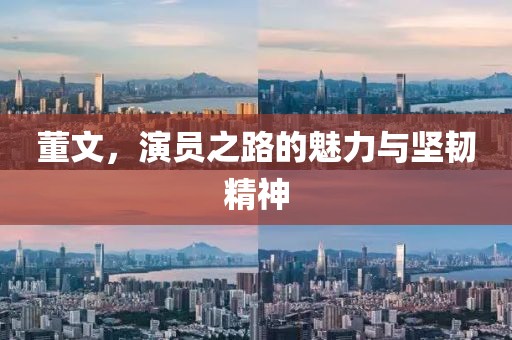 董文，演员之路的魅力与坚韧精神
