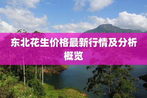 东北花生价格最新行情及分析概览