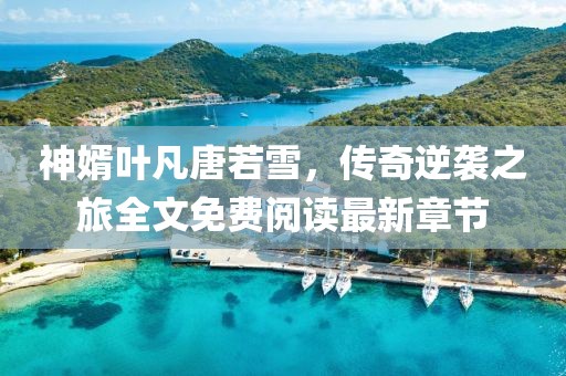 神婿叶凡唐若雪，传奇逆袭之旅全文免费阅读最新章节