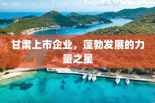 甘肃上市企业，蓬勃发展的力量之星