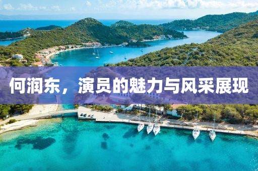 何润东，演员的魅力与风采展现