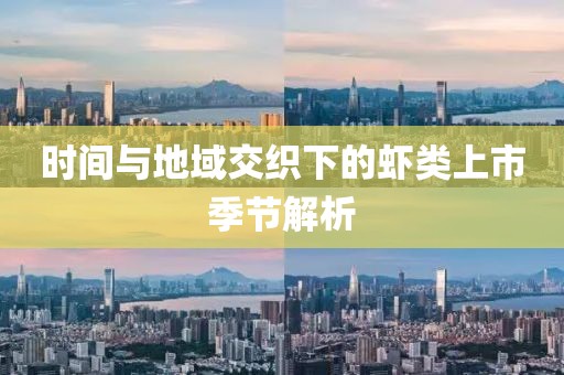 时间与地域交织下的虾类上市季节解析