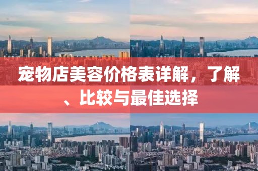 宠物店美容价格表详解，了解、比较与最佳选择