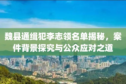 魏县通缉犯李志领名单揭秘，案件背景探究与公众应对之道