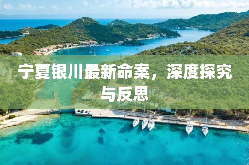 宁夏银川最新命案，深度探究与反思