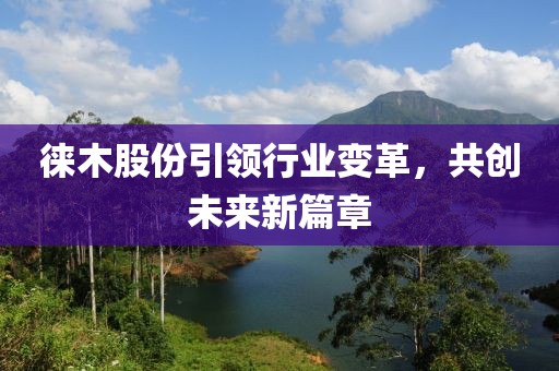 徕木股份引领行业变革，共创未来新篇章