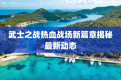 武士之战热血战场新篇章揭秘最新动态