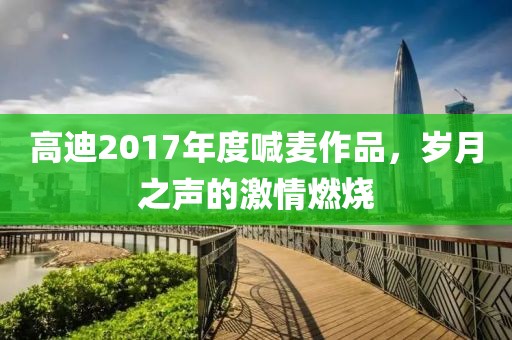 高迪2017年度喊麦作品,岁月之声的激情燃烧