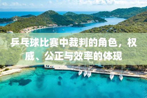 乒乓球比赛中裁判的角色,权威、公正与效率的体现