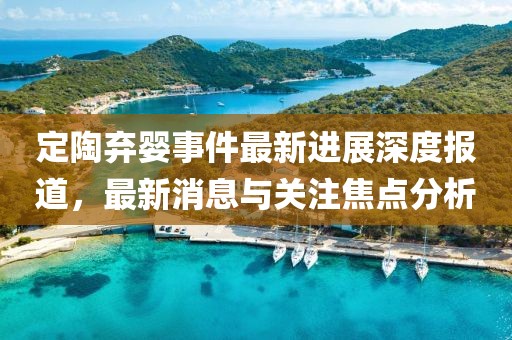 定陶弃婴事件最新进展深度报道，最新消息与关注焦点分析