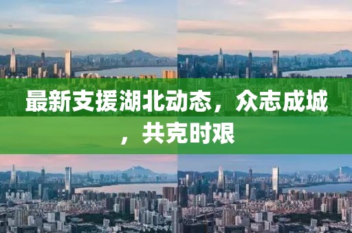 最新支援湖北动态，众志成城，共克时艰