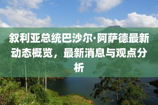 叙利亚总统巴沙尔·阿萨德最新动态概览,最新消息与观点分析