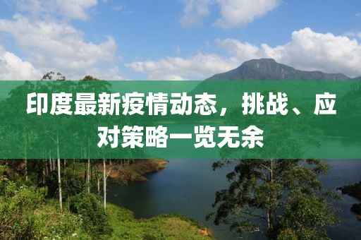 印度最新疫情动态，挑战、应对策略一览无余