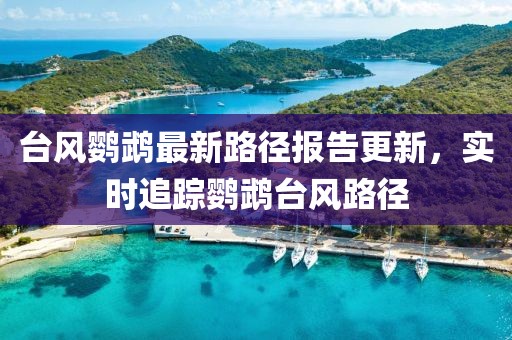 台风鹦鹉最新路径报告更新,实时追踪鹦鹉台风路径
