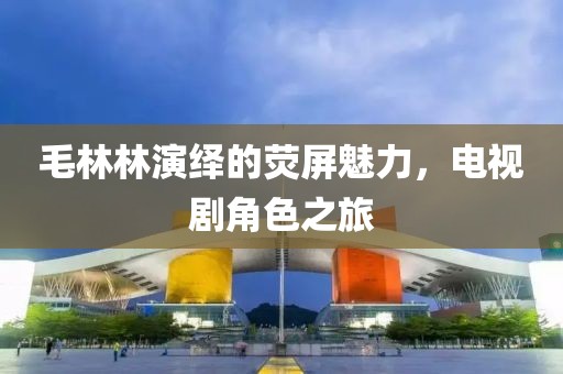 毛林林演绎的荧屏魅力,电视剧角色之旅