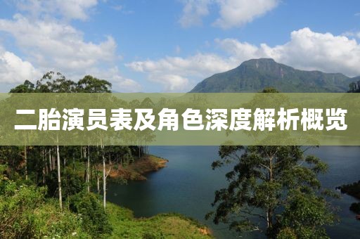 二胎演员表及角色深度解析概览