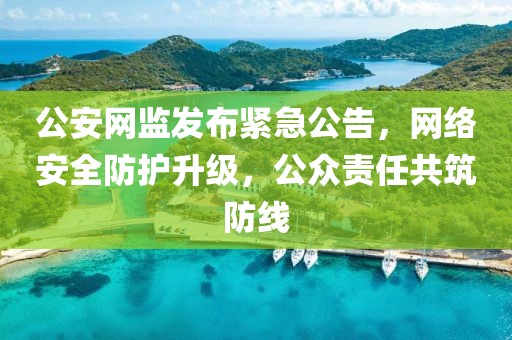 公安网监发布紧急公告，网络安全防护升级，公众责任共筑防线